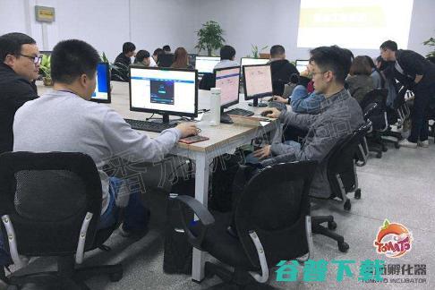 番茄孵化器加盟费用与回收期深度解析 运营现状与创业前景分析